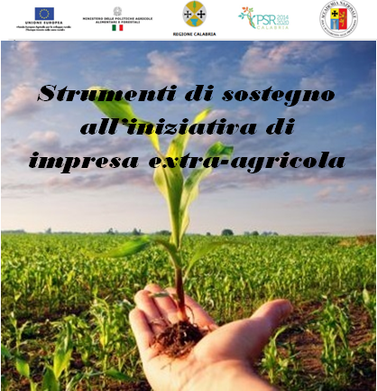 WORKSHOP “STRUMENTI DI SOSTEGNO ALL’INIZIATIVA DI IMPRESA EXTRA-AGRICOLA”