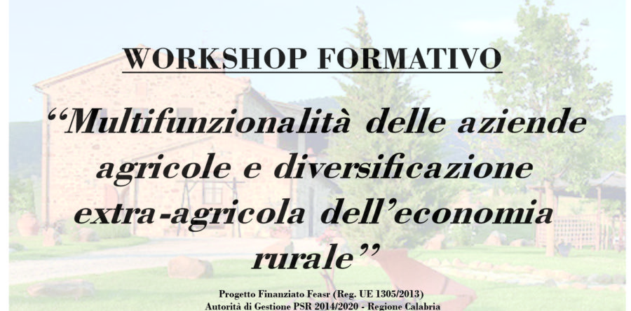 WORKSHOP “MULTIFUNZIONALITA’ DELLE AZIENDE AGRICOLE E DIVERSIFICAZIONE EXTRA-AGRICOLA DELL’ECONOMIA RURALE”