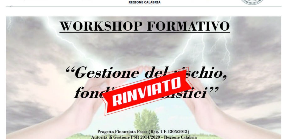 WORKSHOP “GESTIONE DEL RISCHIO, FONDI MUTUALISTICI”