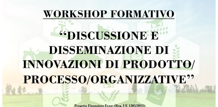 WORKSHOP “DISCUSSIONE E DISSEMINAZIONE DI INNOVAZIONI DI PRODOTTO/PROCESSO/ORGANIZZATIVE”