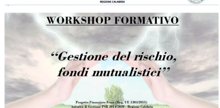 WORKSHOP “GESTIONE DEL RISCHIO, FONDI MUTUALISTICI”