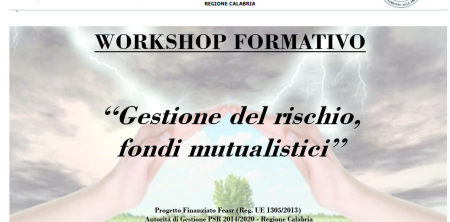 WORKSHOP “GESTIONE DEL RISCHIO, FONDI MUTUALISTICI”